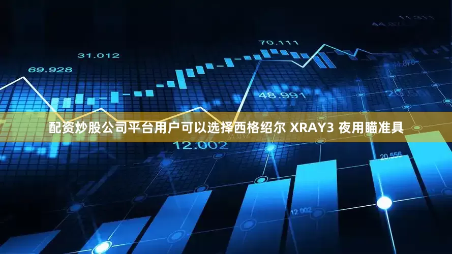 配资炒股公司平台用户可以选择西格绍尔 XRAY3 夜用瞄准具