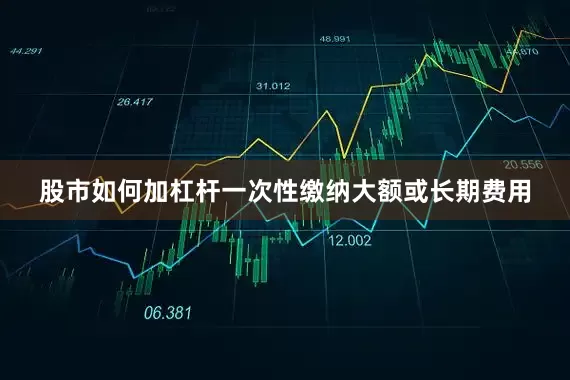 股市如何加杠杆一次性缴纳大额或长期费用