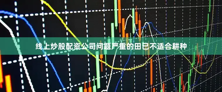 线上炒股配资公司问题严重的田已不适合耕种