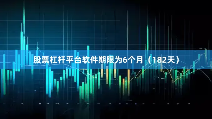 股票杠杆平台软件期限为6个月（182天）