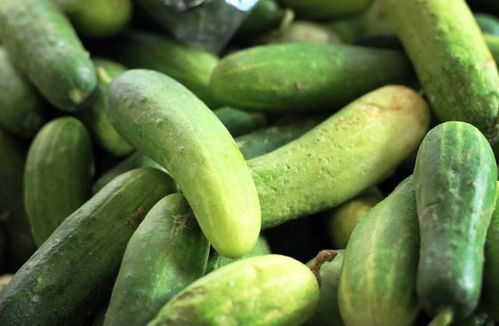 黑料吃瓜网apk普通安装 