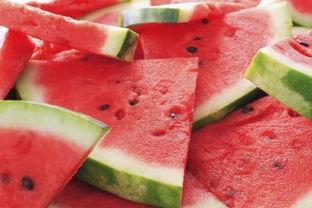 怎么可以吃兔兔 