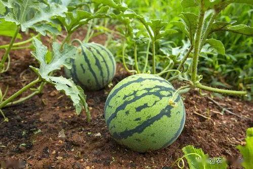 电是怎么形成的游戏 