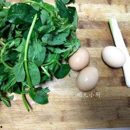 小叶子架子鼓官网版 