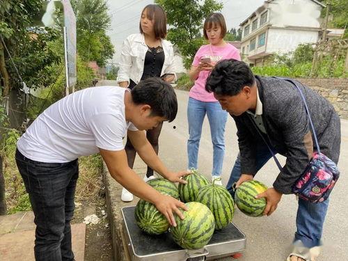 黑料吃瓜网apk普通安装 