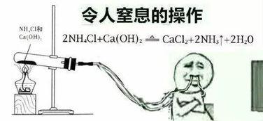 黑料吃瓜网apk普通安装 