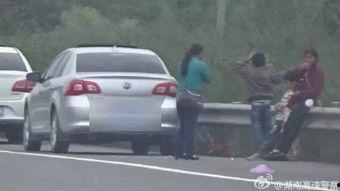 黑料吃瓜网apk普通安装 