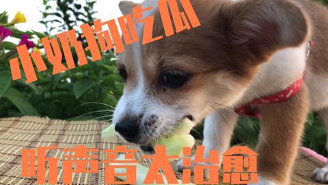 主人和女仆的美食俱乐部 