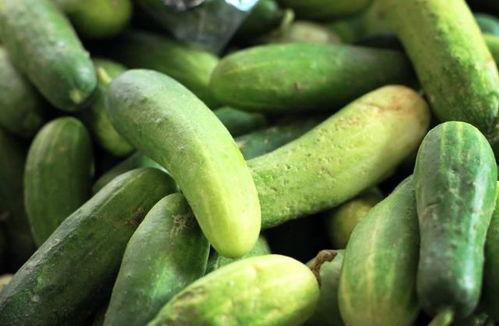 黑料吃瓜网apk普通安装 